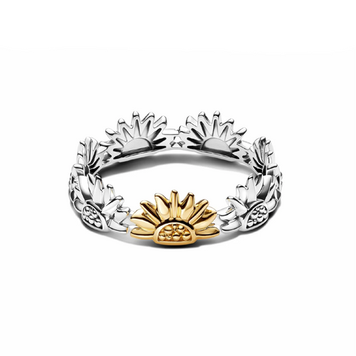 Anello Fascia Sole