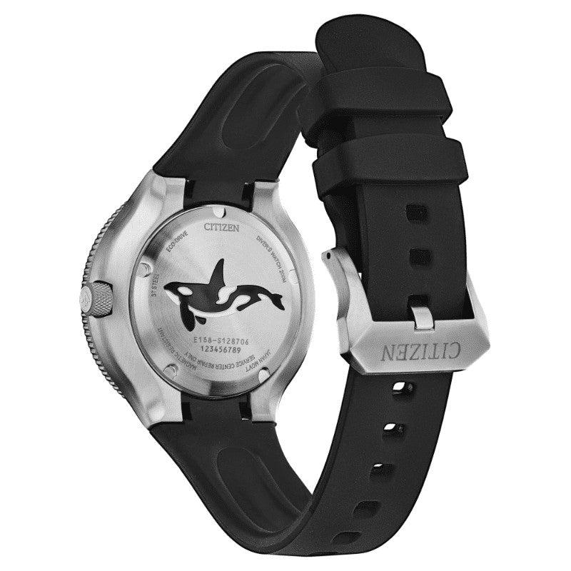 CITIZEN | Diver's Eco Drive 200 mt "Orca"