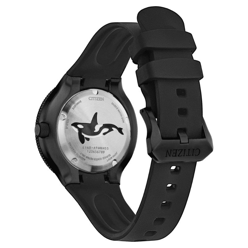 CITIZEN | Diver's Eco Drive 200 mt "Orca"