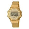 CASIO | ROUND COLLECTION