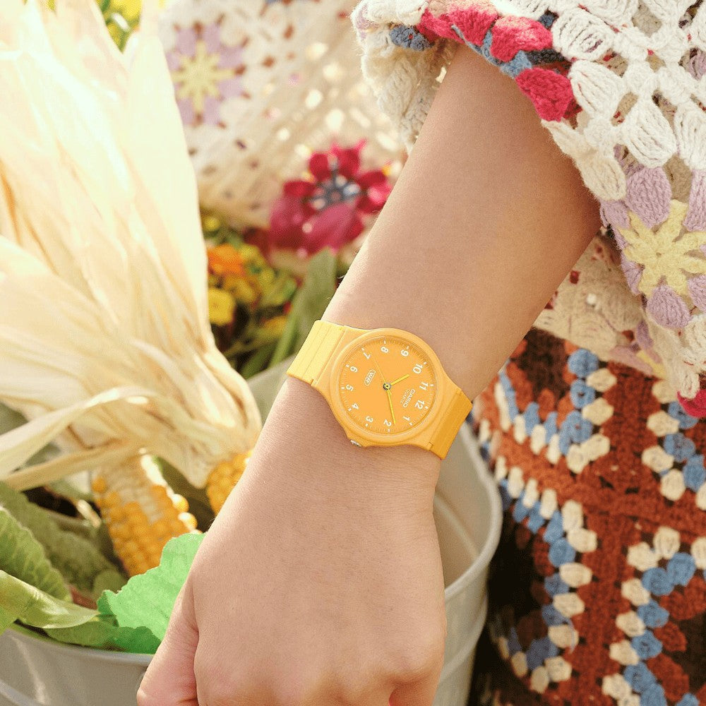 CASIO | MQ COLLECTION