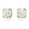 SWAROVSKI | Orecchini a lobo Stilla