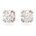 SWAROVSKI | Orecchini a lobo Stilla
