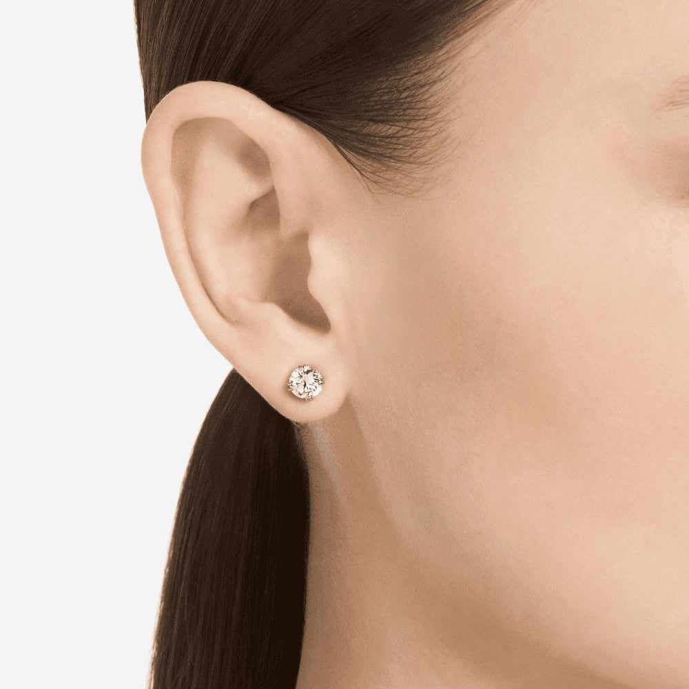 SWAROVSKI | Orecchini a lobo Stilla