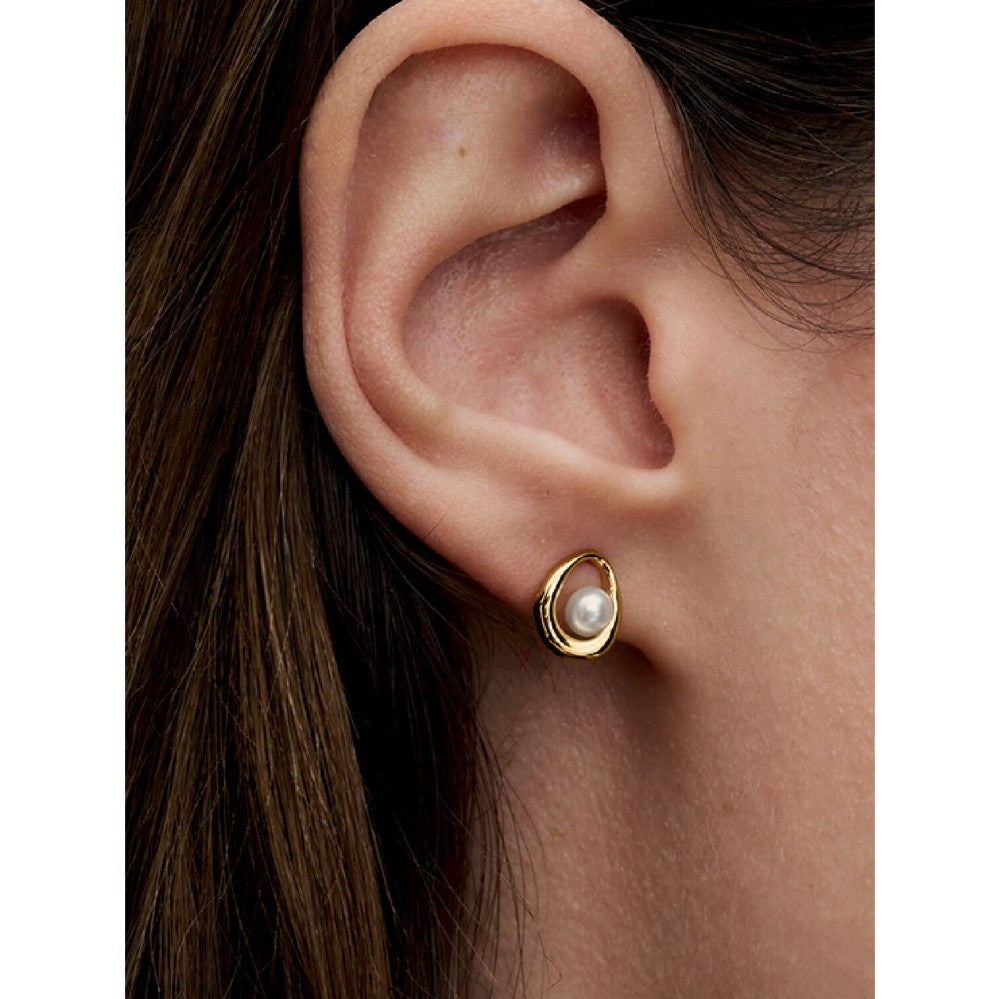 Orecchini Linea Sinuosa Ovale con Perla d'Acqua Dolce Coltivata