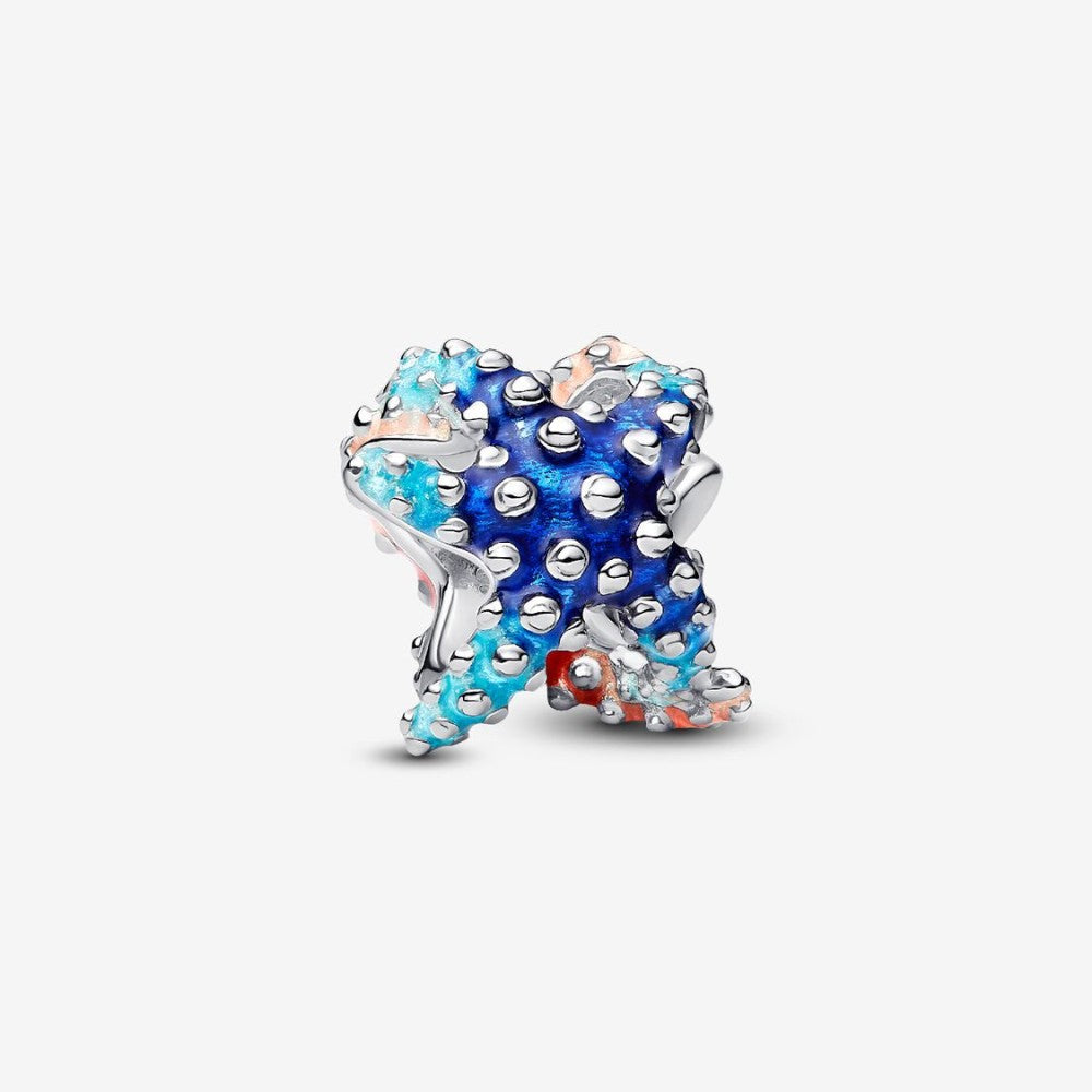 Charm Stella Marina Colorata