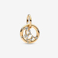Charm Pendente Segno Zodiacale Acquario