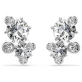 SWAROVSKI | Orecchini a lobo Constella