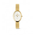 Daniel Wellington | Juliette Braided Mesh White Sunray Gold
