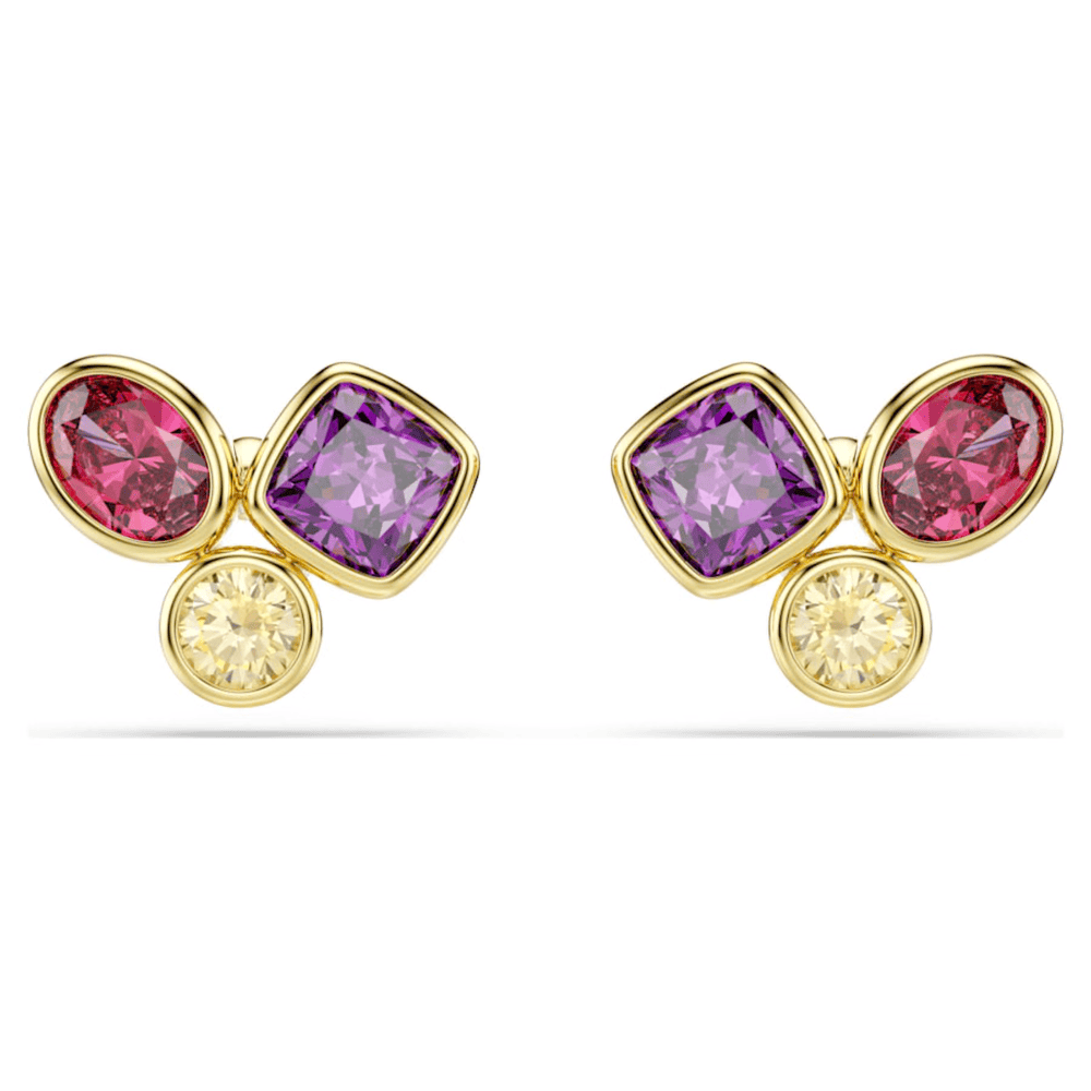 SWAROVSKI | Orecchini a lobo Imber
