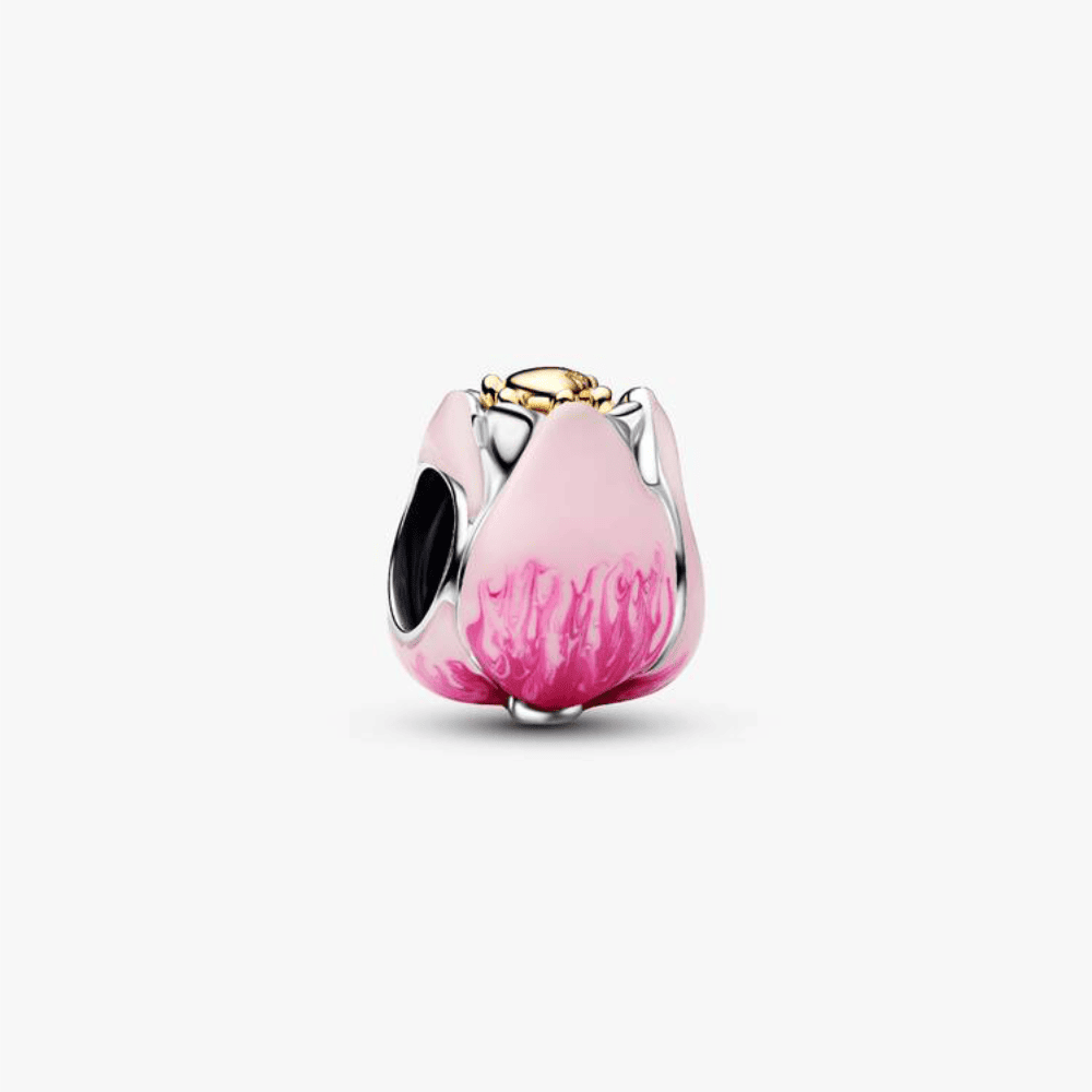 Tulipano Rosa