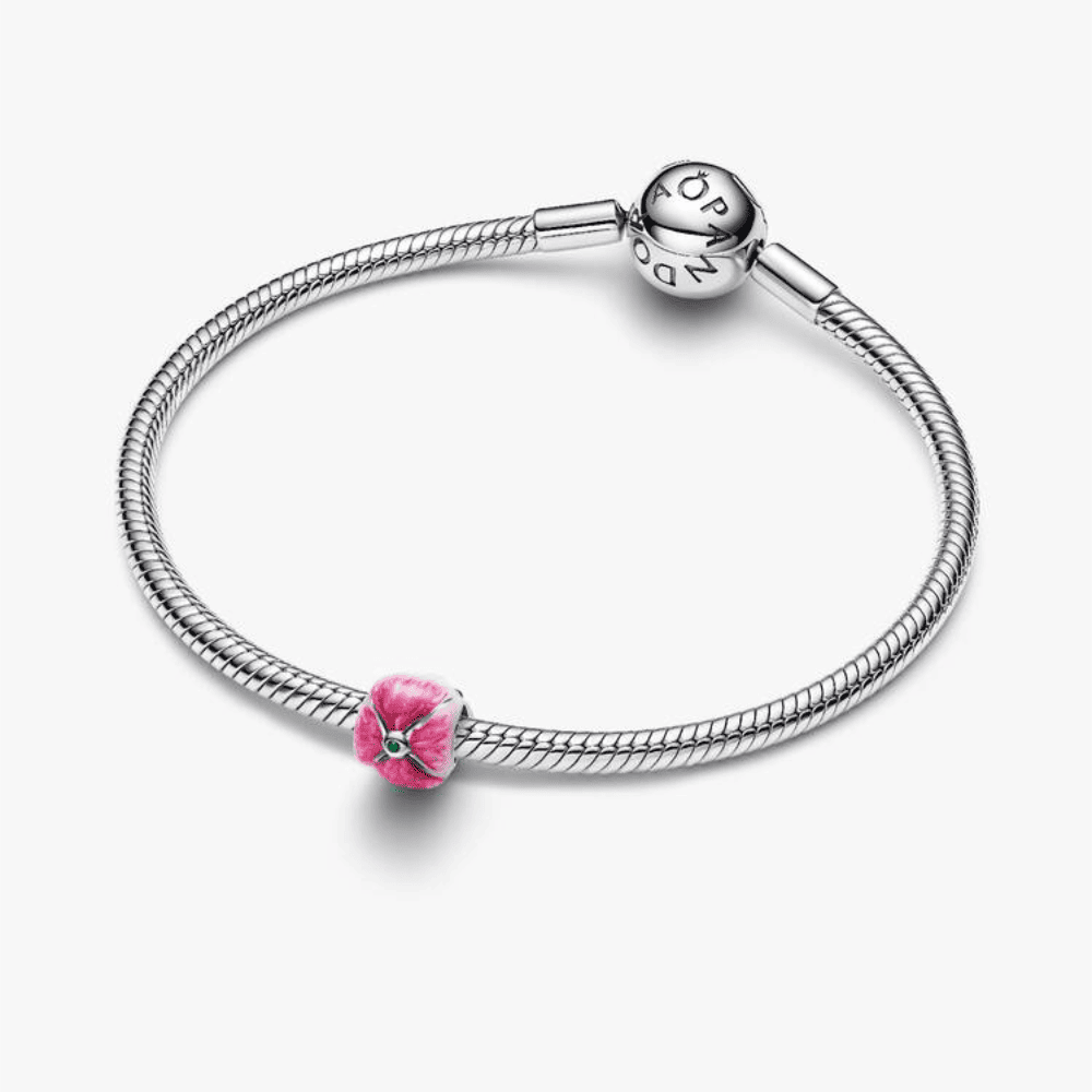 Tulipano Rosa