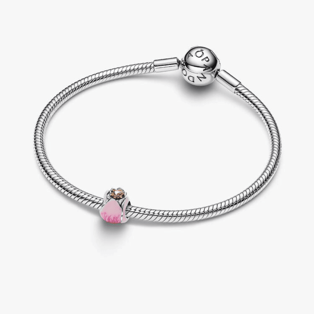 Tulipano Rosa