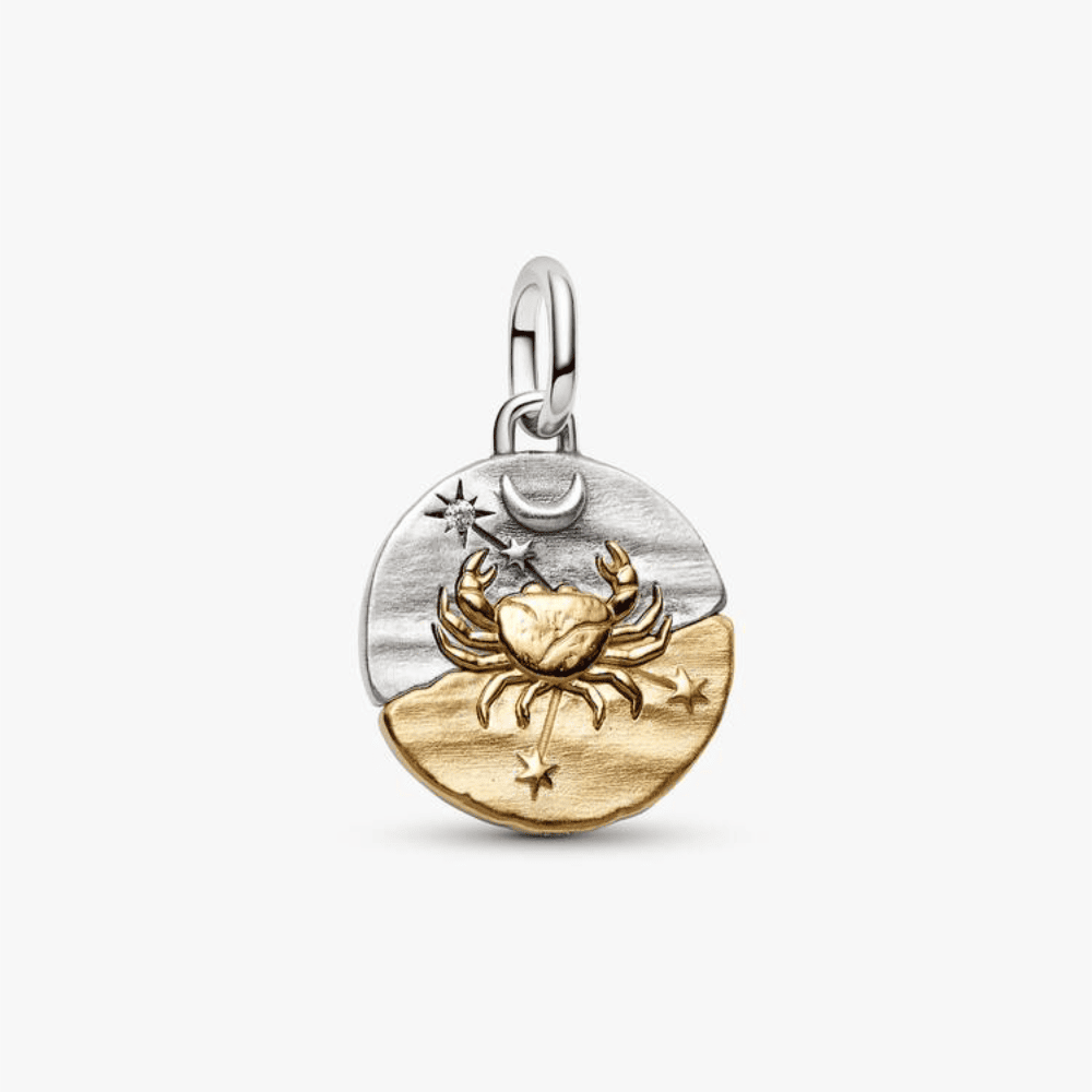Charm Medallion Cancro