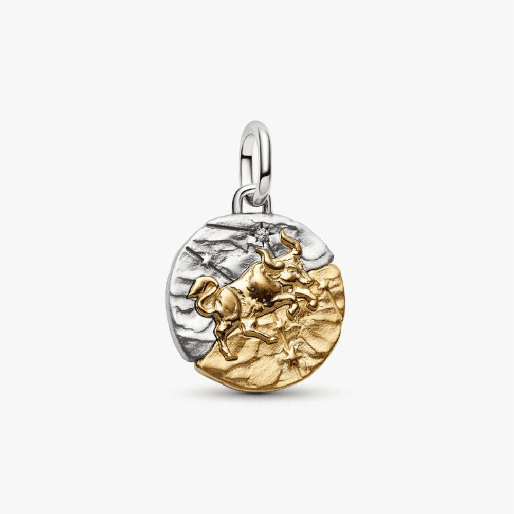 Charm Medallion Toro