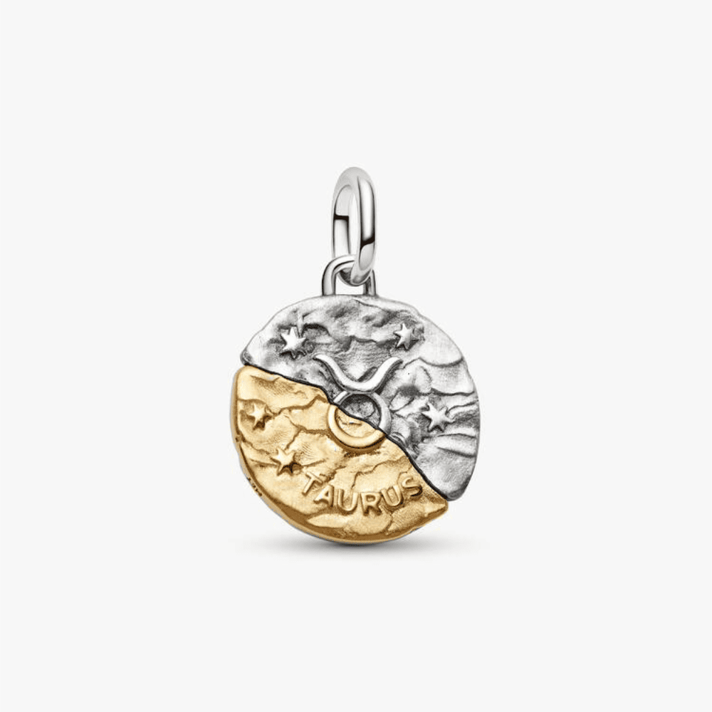 Charm Medallion Toro