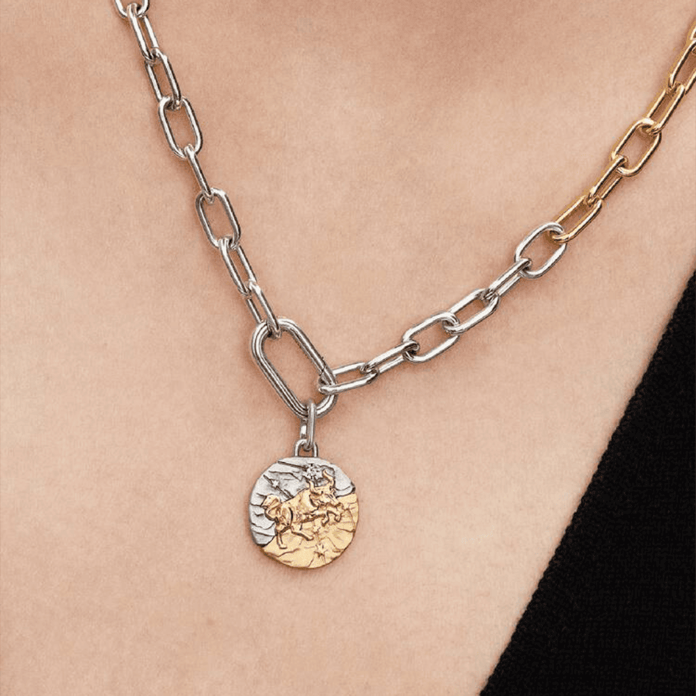Charm Medallion Toro