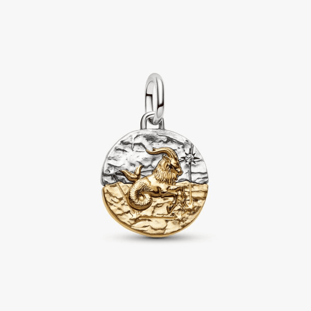 Charm Medallion Capricorno