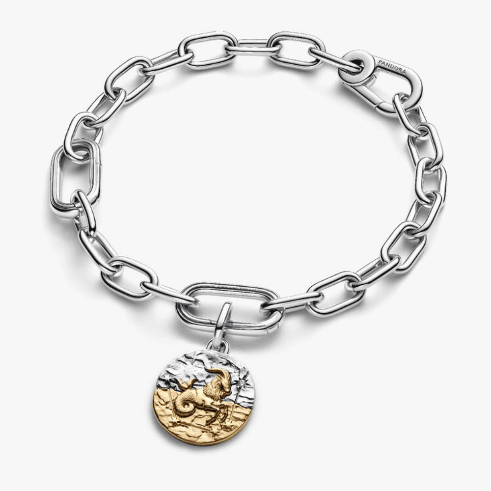 Charm Medallion Capricorno