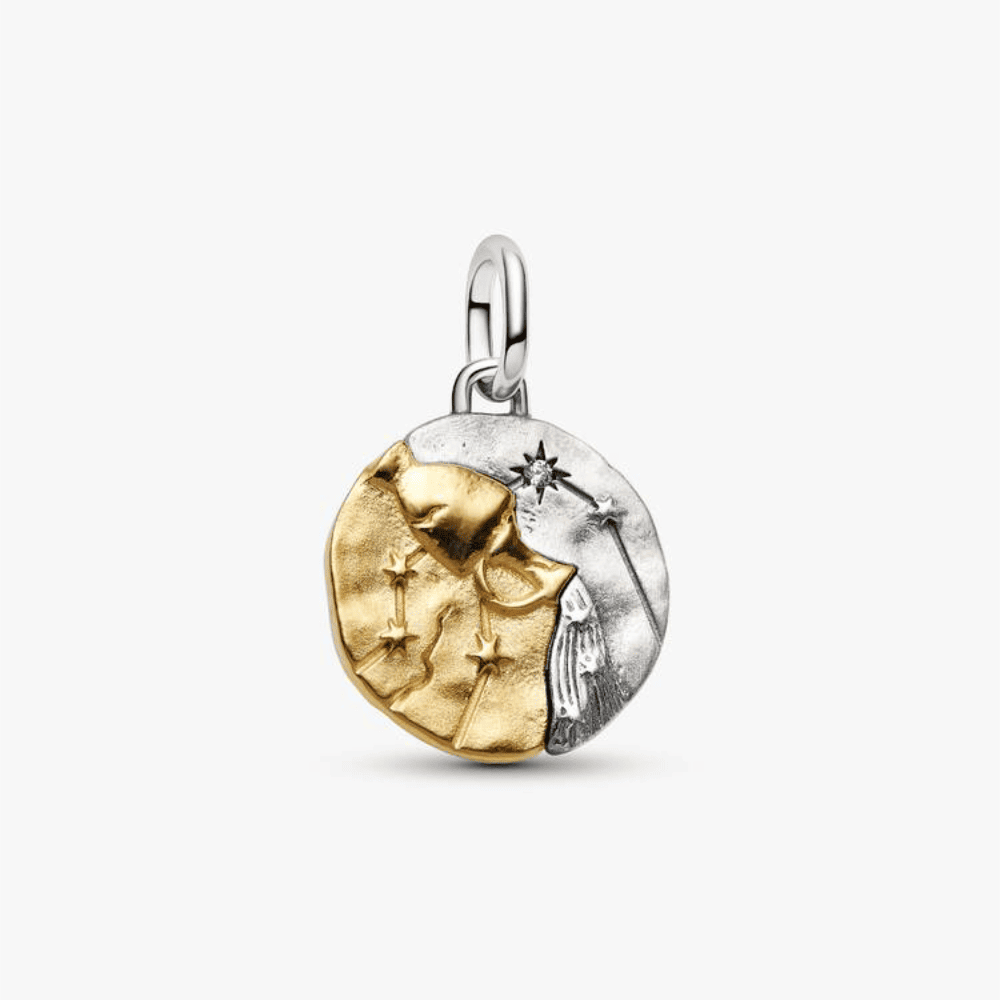 Charm Medallion Acquario