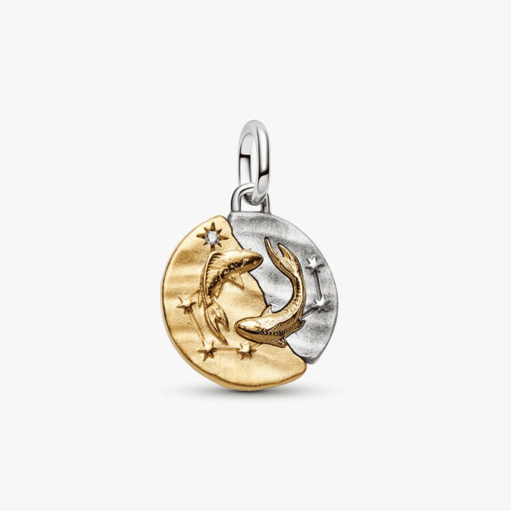 Charm Medallion Pesci