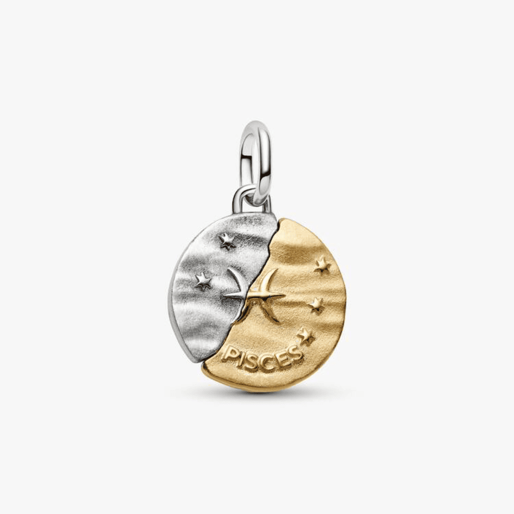 Charm Medallion Pesci
