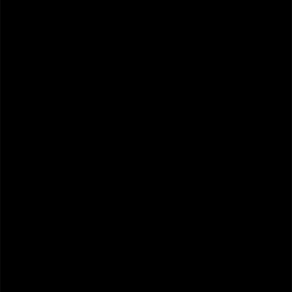 Charm Medallion Vergine