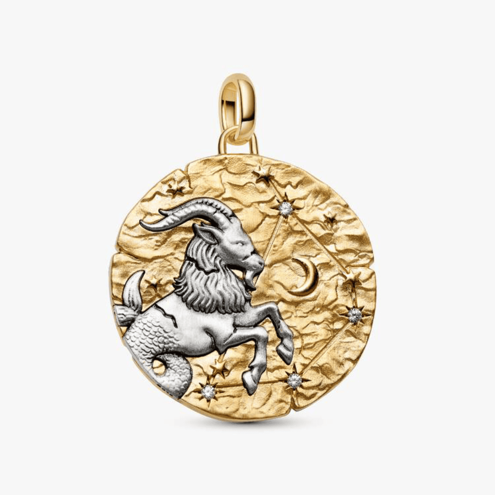 Charm Medallion XL Capricorno "Nihil Difficile Volenti"