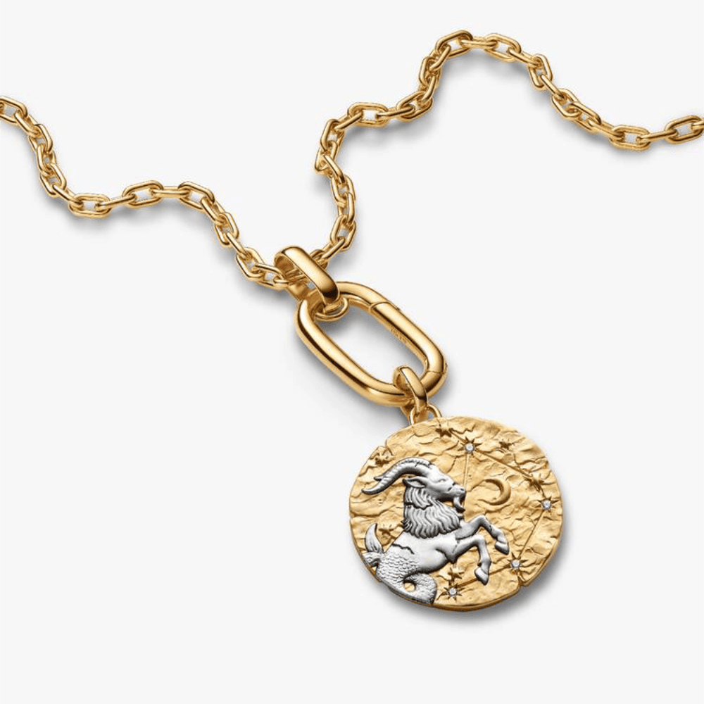 Charm Medallion XL Capricorno "Nihil Difficile Volenti"