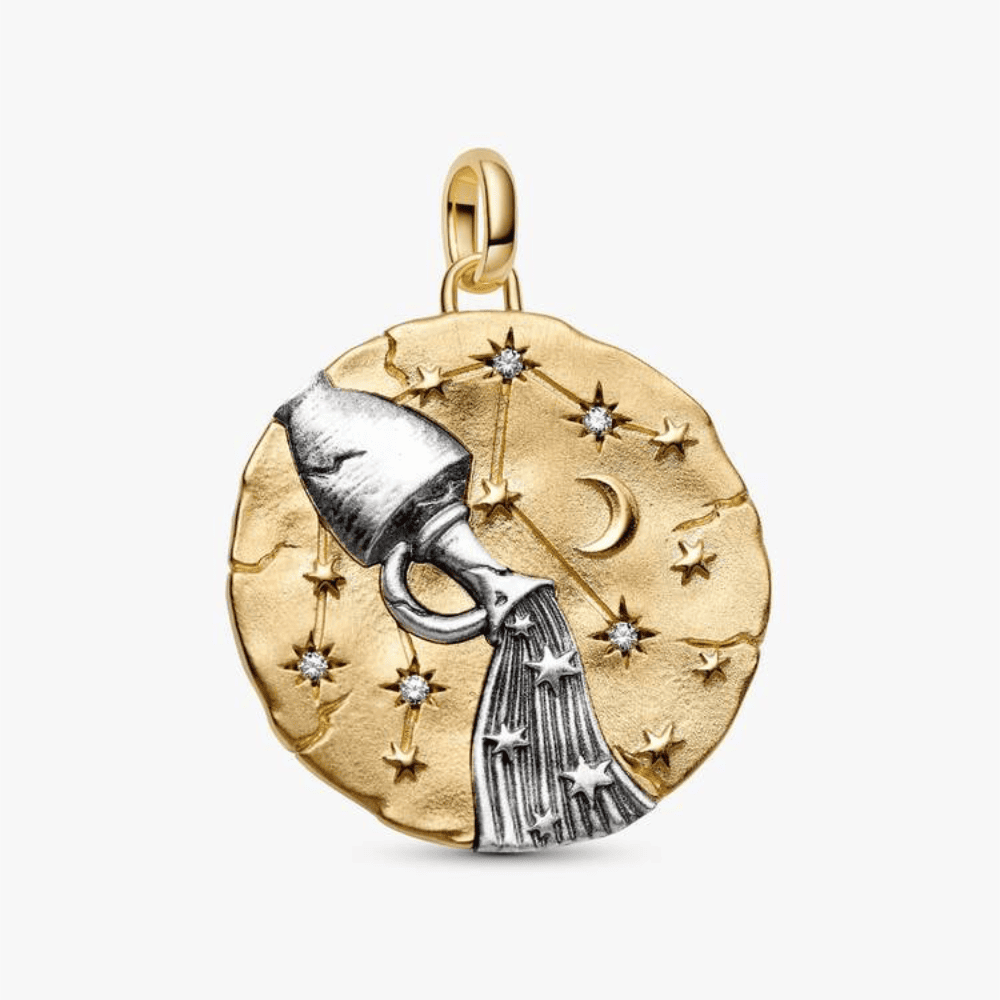 Charm Medallion XL Acquario "Omnia Mutantur"
