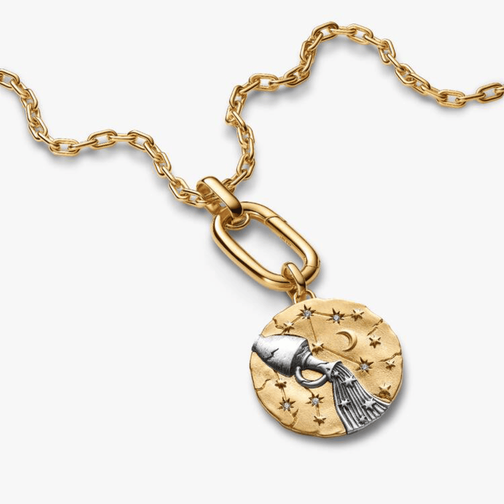 Charm Medallion XL Acquario "Omnia Mutantur"