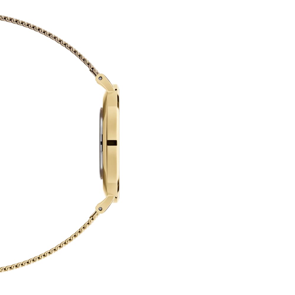 Daniel Wellington | Petite Evergold