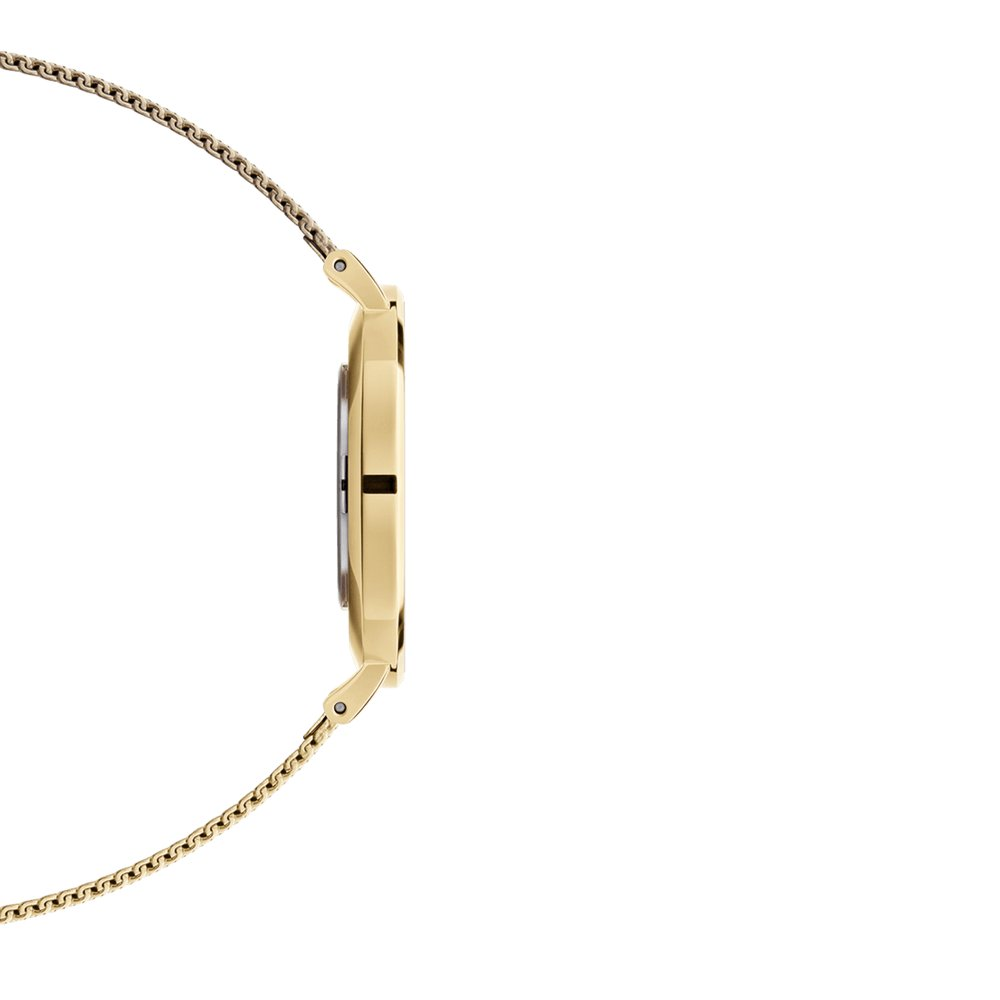 Daniel Wellington | Petite Evergold – foto 3