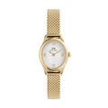 Daniel Wellington | Ophelia Mini Mesh White Gold